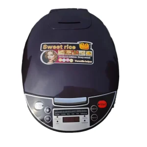 Kitchen Appliances Silver crest 5L Food Steamer Grains Cake Yogurt Electric Rice Cooker with 24 Hours Delay Timer