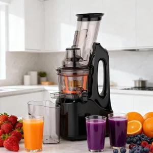 Kitchen Fruit and Vegetable Automatic Stainless Steel Slow Juicer