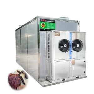 Large Capacity Biltong Dryer Heat Pump Leaf Fish Dehydrator Machine