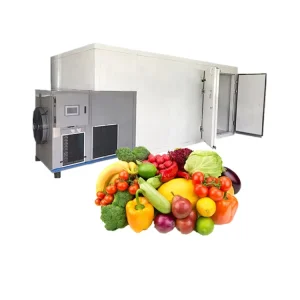 Large Industrial Fruit Drying Machine Room Type Jackfruit Oven Pump Mango Red Dates Dehydrator for Food Processing