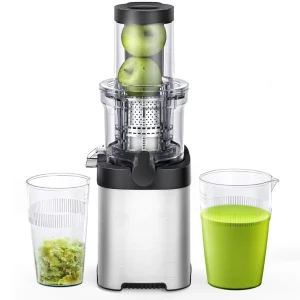 Low Heat and Oxidation Heavy Duty Vertical Slow Juicer for Home and Cafe