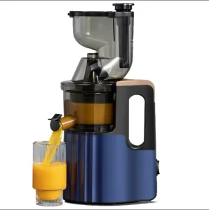 Low Noise Kitchen Juicer Blender Professional Fruit Juice Maker