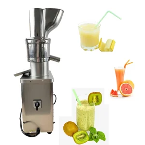 Low Noise Twin Gear Slow Juicer Stainless Steel Slow Juicer for Pineapple