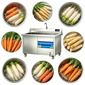 Low Temperature Ozone Washer with Motor Engine for Food Processing Keeps Vegetables Fruits Meat Seafood Fresh