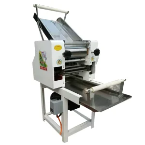 Manufacturer direct Pasta Machine Fresh Noodle Maker and Dough Kneader All in one Electric Pasta Roller