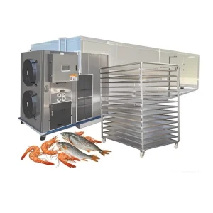 Marine Fish Seafood Dehydrator Isinglass Drying Machine Heat Pump Meat Dryer 380V Food Processing