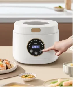 Mini 2L Electric Rice Cooker Plastic Multi Functional for Household Kitchen Use 1.8L Capacity