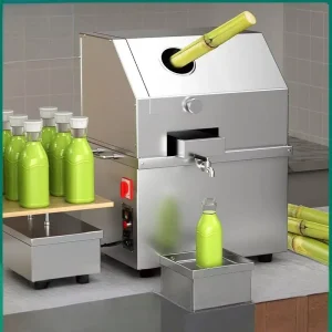 Mini Fruit Juicer Extractor Machine with Engine Stainless Steel 304 for Commercial Use and Fruit Processing Plants