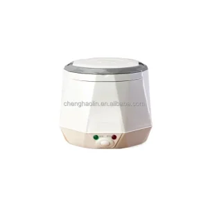 Mini Rice Cooker Food Steamer Electric 12V 24V Car Truck Soup Porridge Cooking Machine Heart Shape Rice Cooker