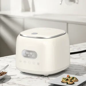 Mini Rice Cooker Stainless Steel Inner Pot Multi functional All in One Cooker Low Carb Small Size Multi Cooker in Stock