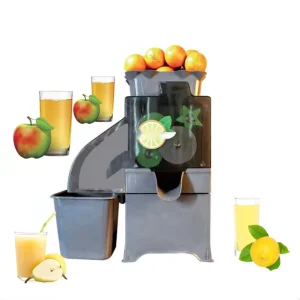 Mini Sugarcane Juice Maker 200W Motor Cold Press Lemon Juicer Machine