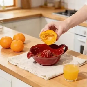 Modern Custom Color Ceramic Fruit Orange Lemon Squeezer Juicer for Kitchen