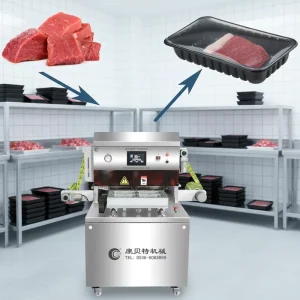 Modified Atmosphere Food Vacuum Sealer Machine Steak Vacuum Packing