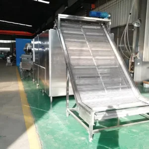 Multi Layer Conveyor Drying Equipment Continuous Seaweeds Algae Anchovies Dehydrator Conveyor Belt Dryer