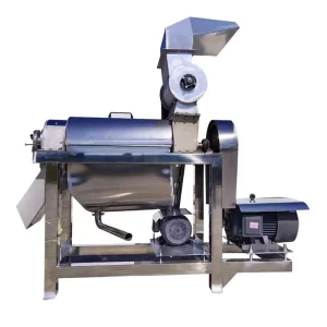 Multi-functional Commercial Stainless Steel 750W Automatic Fruit & Vegetable Juicer