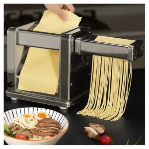Multi functional Electric Pasta Making Machine Automatic Pasta Noodle Maker