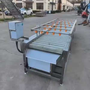 Multifunction Automatic Vegetable Soybean Fruit Washing Machine with Motor Food Grade Stainless Steel New