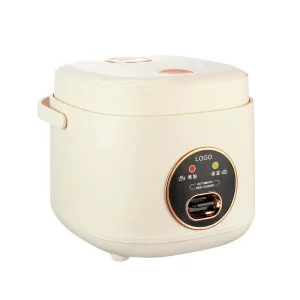 Multifunction Plastic Rice Cooker Measuring Cup 24 Hours Reservation One Touch Disassembly Electric Non Stick