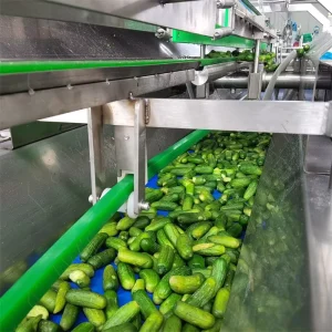 Multifunctional Automatic Canned Vegetable Processing Machine Food Sterilizer Pasteurizer for Fruit Vegetable Production Line