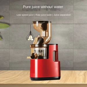 Multifunctional Automatic Electric Fruit Vegetable Juicer Large Diameter Residue Separator Cross Border Household Juice