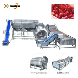 Multifunctional Bubble Fruit Vegetable Washing Line Industrial Strawberry Cherry Blueberry Mulberry Washing Line
