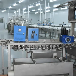 Multifunctional Ice Cream Production Line Extrusion Hardening Tunnel Machine for Fruit Vegetables Milk Customized Size