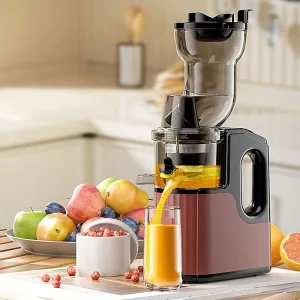Multifunctional Juicer Fruit and Vegetable Kitchen Blender Juice and Pulp Separator Household Juice Machine