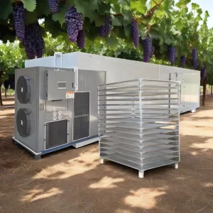 Multifunctional Prune Dryer Machine Industrial Fruit Dehydrator for Avocado Strawberry Plum