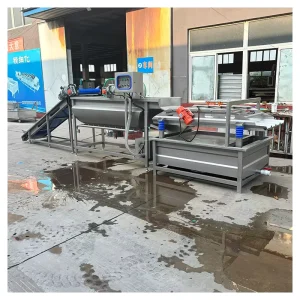 Multifunctional Semi Automatic Mango Avocado Leaf Vegetable Tomato Ginger Eddy Flow Washing Machine Eddy Current Washing Line