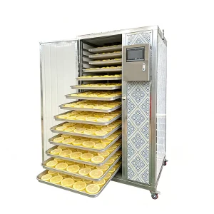Multifunctional Single Phase Electric Dehydrator for Drying Fruits Mangoes Lemons and Apricots