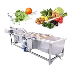 Multifunctional White Radish Washing Double Bubble Bamboo Fungus Cleaning Machine Ozone System Mussel Washer