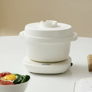 Multiple Function Cooking Pot Portable 1.0 Litre Small Kitchen Appliance Mini Rice Cooker Soup Cooker