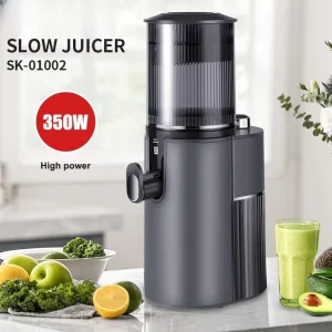 New Design Low Noise 88mm Big Feeder Motor Cold Press Commercial Slow Juicer Ice Smoodie Masticating Juicer