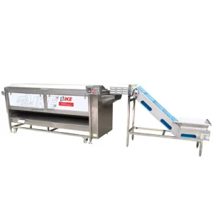 New Fruit Cleaning Roller Brush Carrot Lotus Root Vegetable Washing Machine High Pressure Spray Fruit Washer