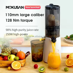 New Product Latest 250w Cold Press Juicer Fruit Vegetable Self Feeding Juice Extractor Slow Juicer