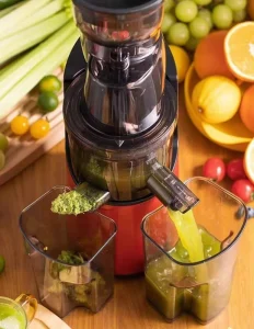 Newest Automatic Juicer Juice Residue Separation Home Juicer Large Caliber Fried Juice Pure Juicer