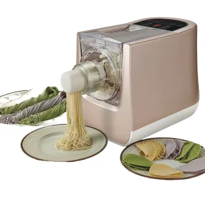OEM Special Offer 300W Household Electric Plastic Mini Intelligent Fresh Pasta Maker Macaroni Noodles Making Machine