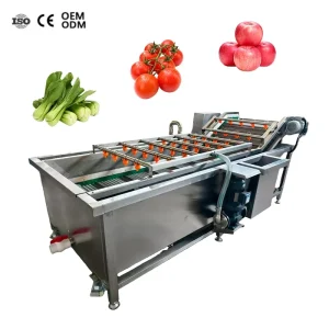 Orange Lemon Vegetable Conveyor Belt Automatic Fruit Washer Air Bubble Water Washing Machine CE Certification