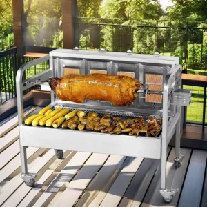 Outdoor Family Gathering BBQ Gas Grill Stainless Steel BBQ Rotisserie Charcoal Gas BBQ Grill for Seafood