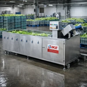 Ozone Automatic Vegetable Washing Equipment Lettuce Seaweed Fruit Food Washer Industrial Plant Cleaning Machine