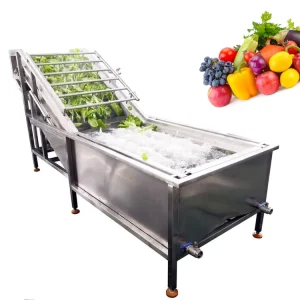 Ozone System Lavadora De Frutas Industrial Fruit Bubble Washing Machine