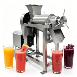 Pineapples Industrial Fruit Juicer High Power Juice Machine for Juice Making