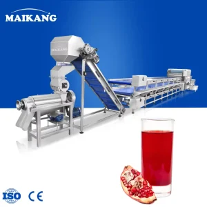 Plam Dates Washing Sorting Line Fruit Juice Production Line Jujube Plant Concentrate Pomegranate Juice Production Complete Line