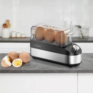 Portable 3 Egg Electric Boiler Dual Voltage for Travel Compact Living OEM ODM
