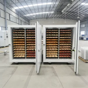 Portable All in one Fruit Dryer Space Saving Small Vegetable Drying Machine 60 Tray Food Dehydrator No Installation