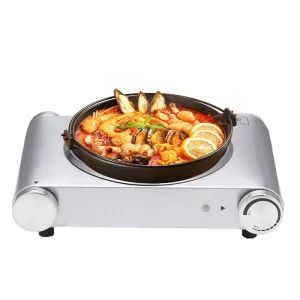 Portable Burner Hot Plate 1500W Temperature Control Easy Clean Mini Electric Stove Germany Standard Universal