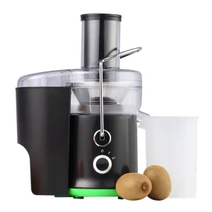 Portable Electric Fruit Juicer Extractor 2L Stainless Steel Blade Modern Style for Household Use