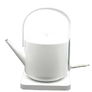 Portable Electric Kettle 304 Stainless Steel 600ml 1200W Temperature Control Household Use