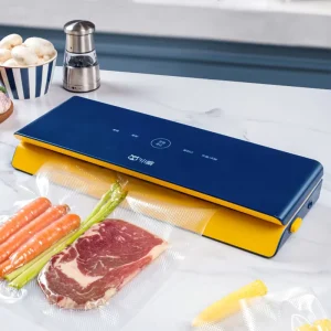 Portable Household Chicken Meat Fish Vegetable Automatic Vacuum Packing Machine Chamber Food Vacuum Sealer with Dry and Wet Mode