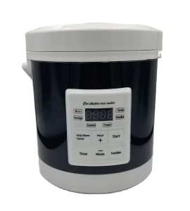 Portable Mini Electric Rice Cooker for Car Charging 12V 24V 1.6L